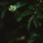 07. Juni 2015-Kreta-119