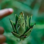 12. Juni 2015-Kreta-151