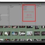 Hochzeit_Juni_35mm-1