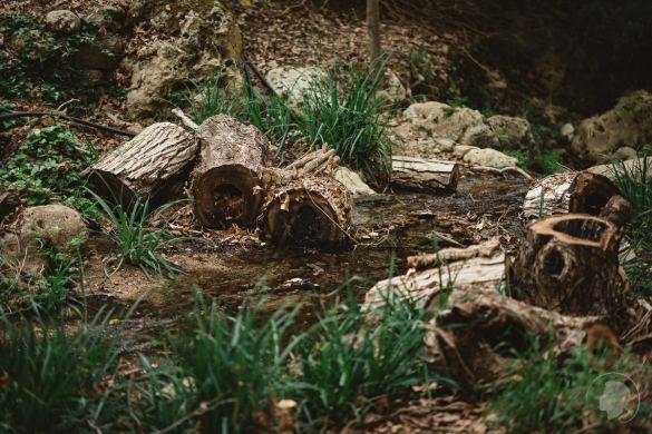 Myli-Schlucht-Kreta-Rethymnon