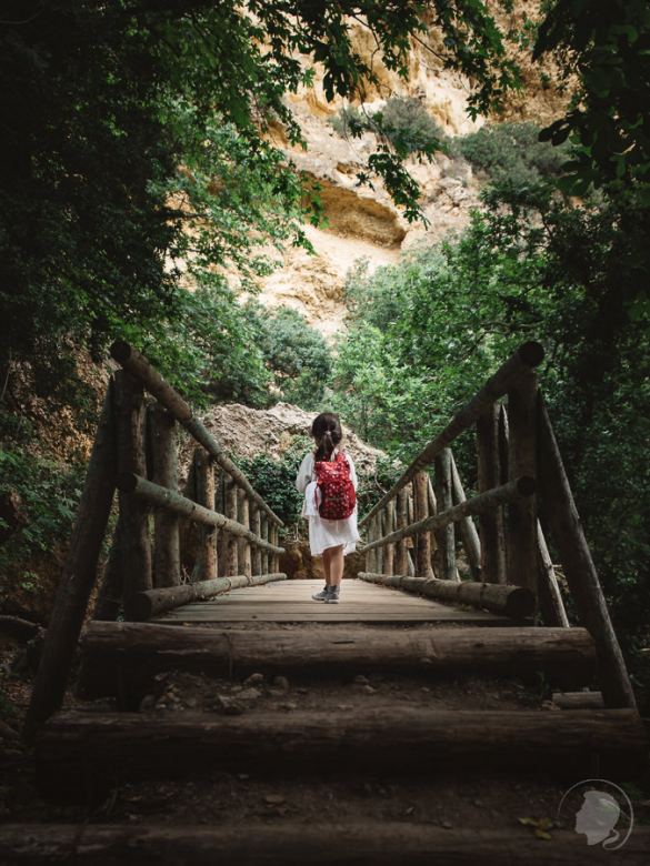 Myli Schlucht Holzbrücke