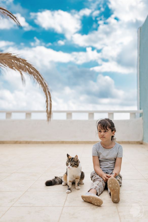 35mm vs 50mm Vollformat Objektiv Vergleich Test