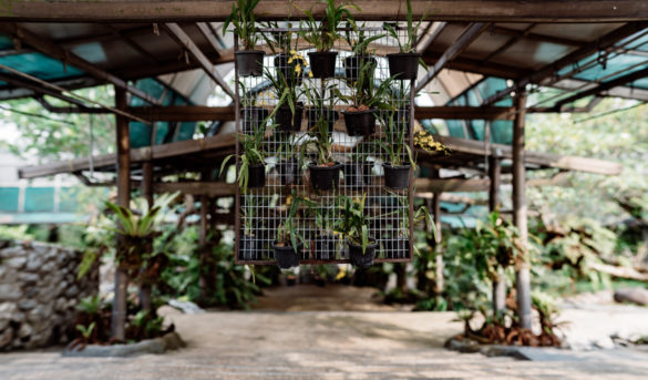 Perdana Botanical Garden