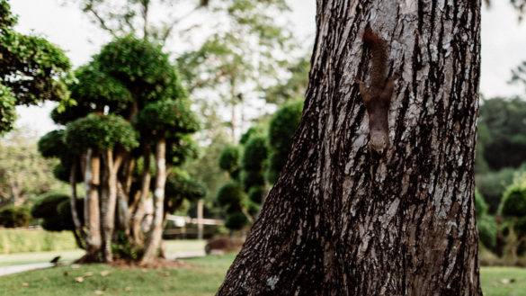 Perdana Botanical Garden