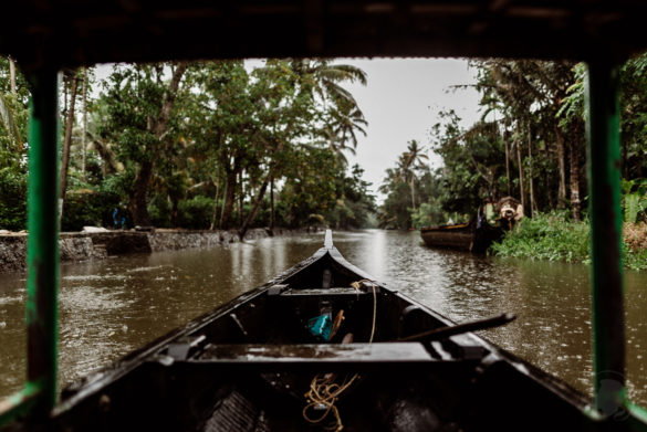 Alappuzha-Alleppey-5