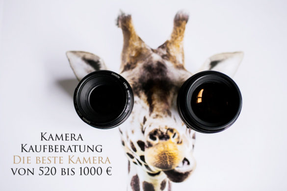 Kamera Kaufberatung die Beste Kamera von 520 bis 1000 EUR Thumbnail