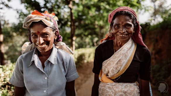 Teapickers Ella Little Adam's Peak