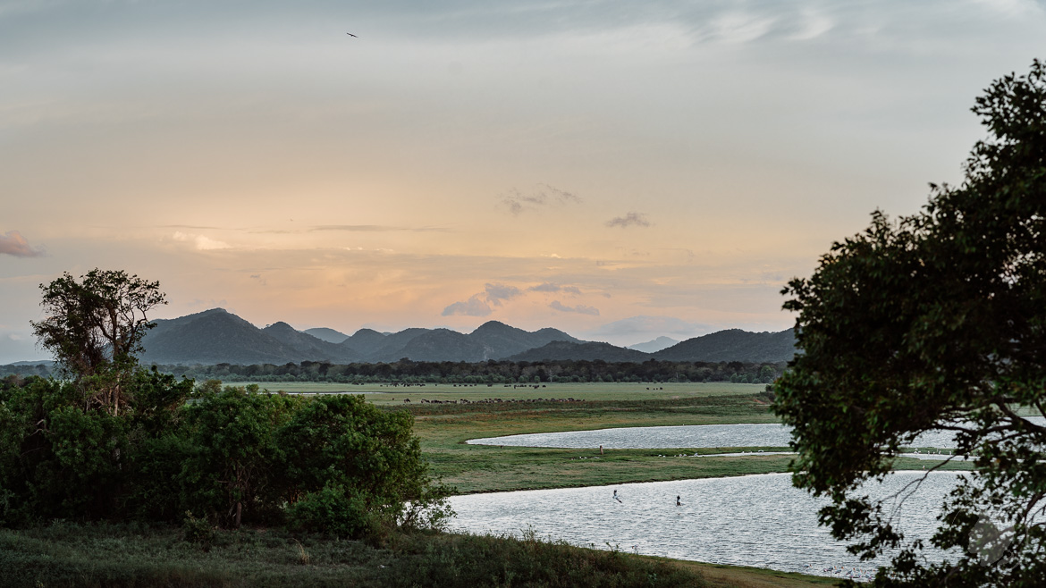 Minneriya Sri Lanka Landschaft