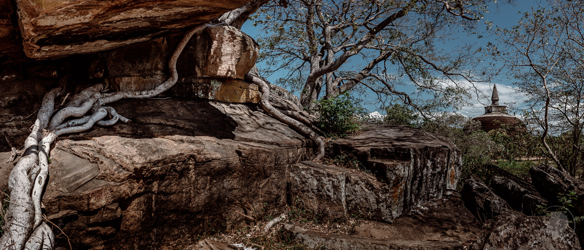 Polonnaruwa Sri Lanka