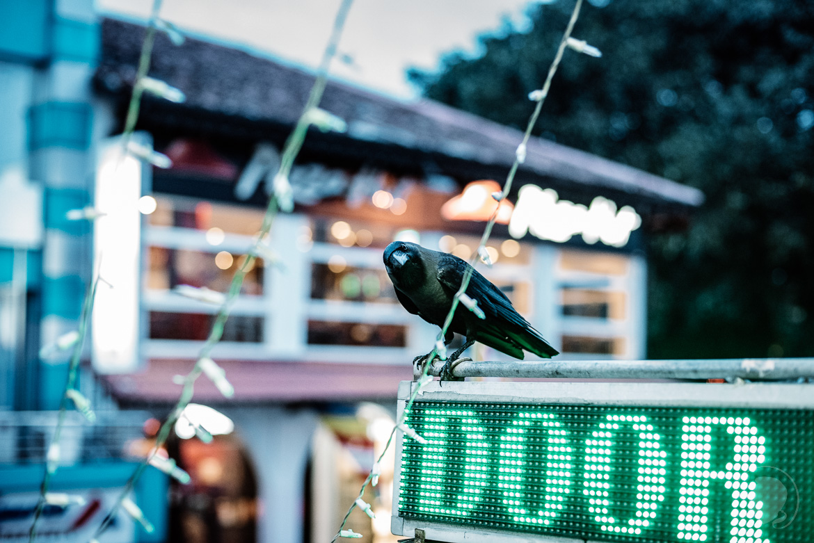 Rabe Kandy Sri Lanka