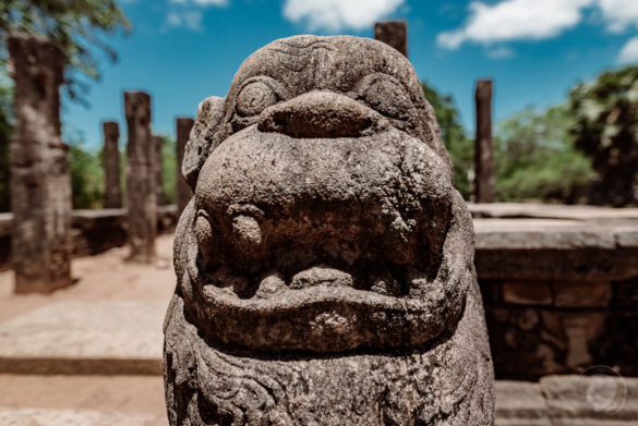 polonnaruwa-1263