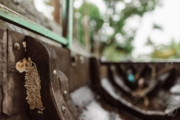Alappuzha Backwaters