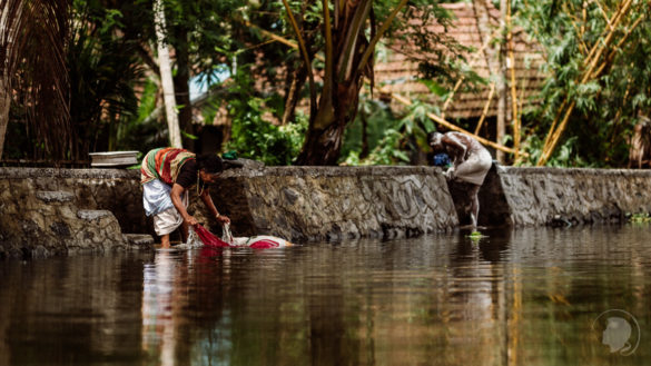 Indien Kerala Alleppey