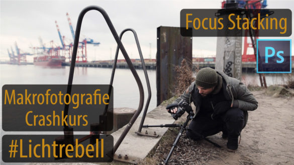 Focus-Stacking-Makrofotografie-Nahaufnahme-Thumbnail