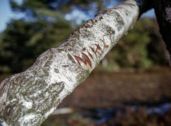 Mamiya M645 + Sekor C 55mm 2.8