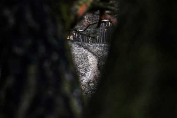 Kreative Analogfotografie