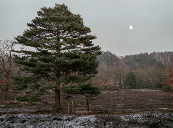 Analogfotografie vom Mond