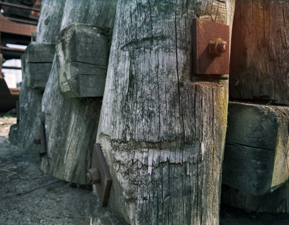 Mamiya RZ67 Testfoto