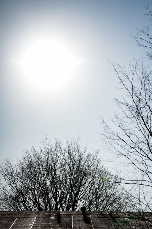 Nikon Z 85mm Gegenlicht Problem