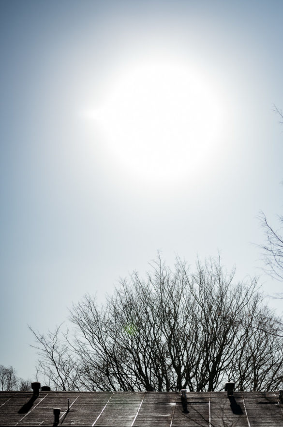 Nikon Z 85mm Gegenlicht Problem