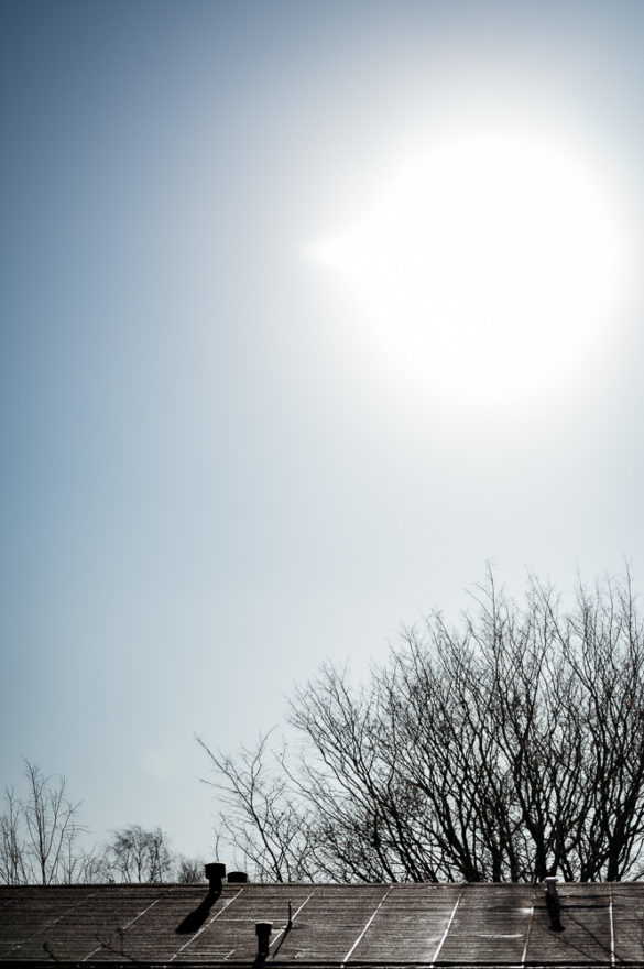 Nikon Z 85mm Gegenlicht Problem