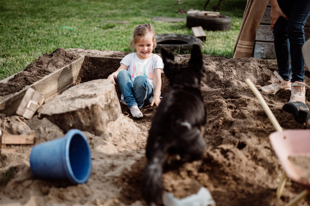 Nikon Z6 II vs Canon R6 vs Sony A7r IV vs A9 