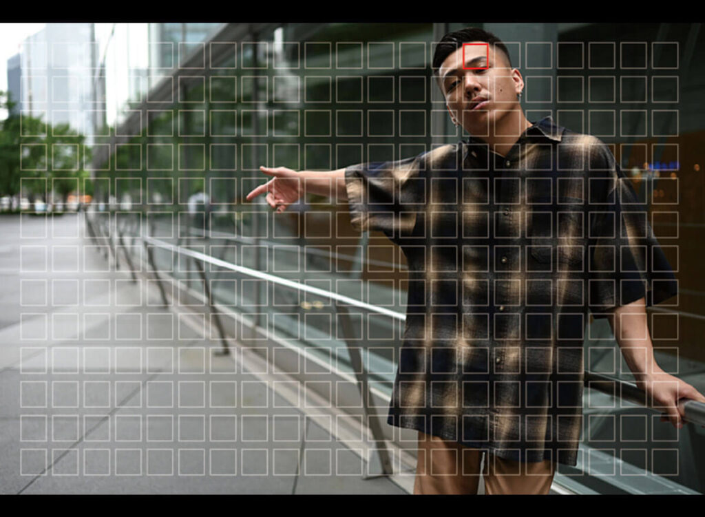 Nikon Z6 II Autofokus Punkte