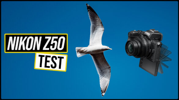 Nikon Z50 Test Review